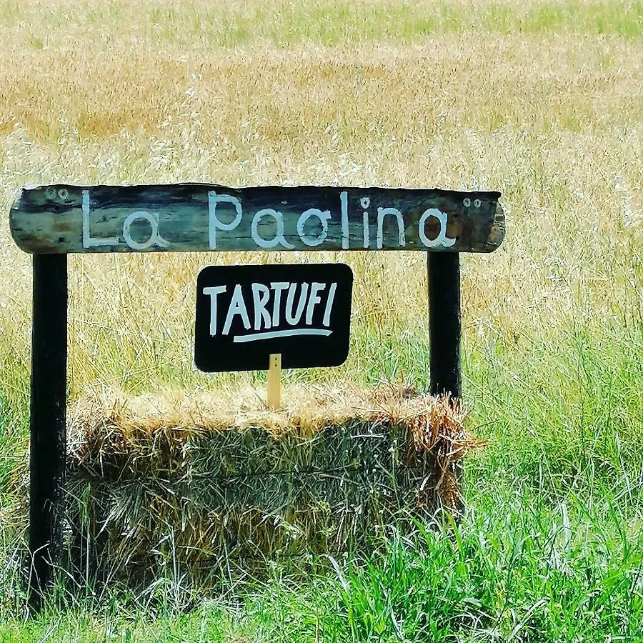 Podere La Paolina Villa Montefollonico